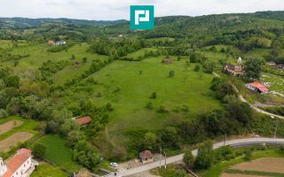Proprietate de poveste pe Valea Mureșului, Lupești - Poză 2