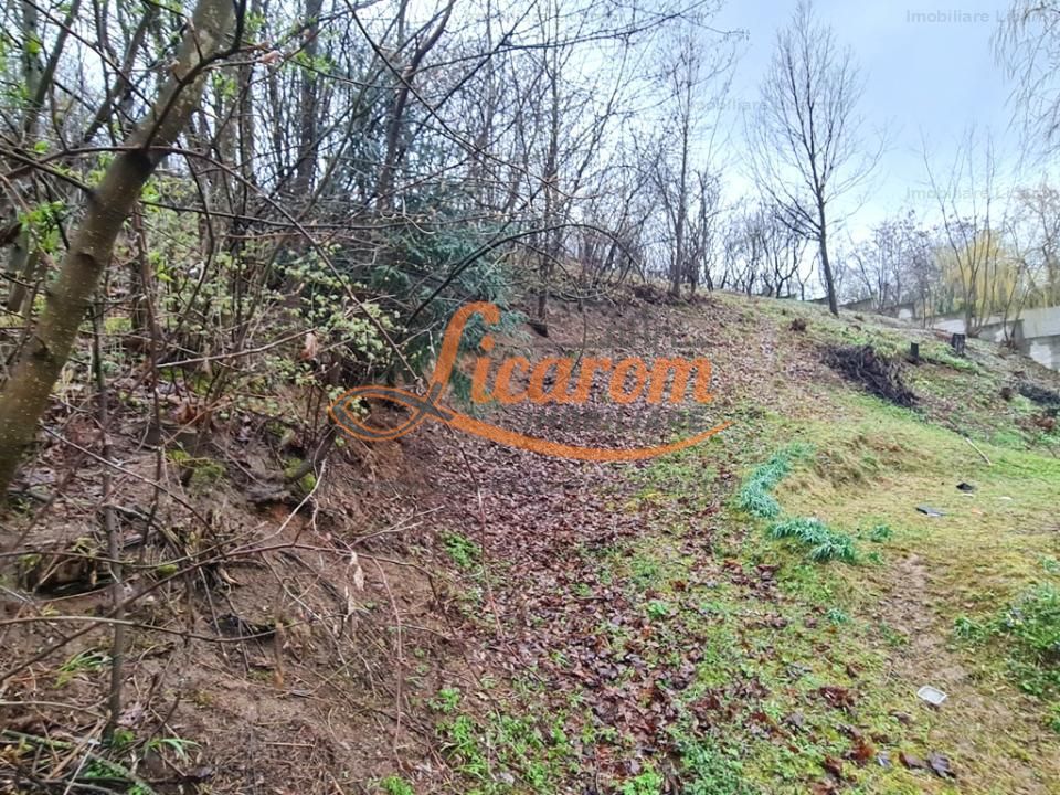 Teren intravilan1291 mp Schei Str Nisipului iesire la Drumul Poienii - Poză 7