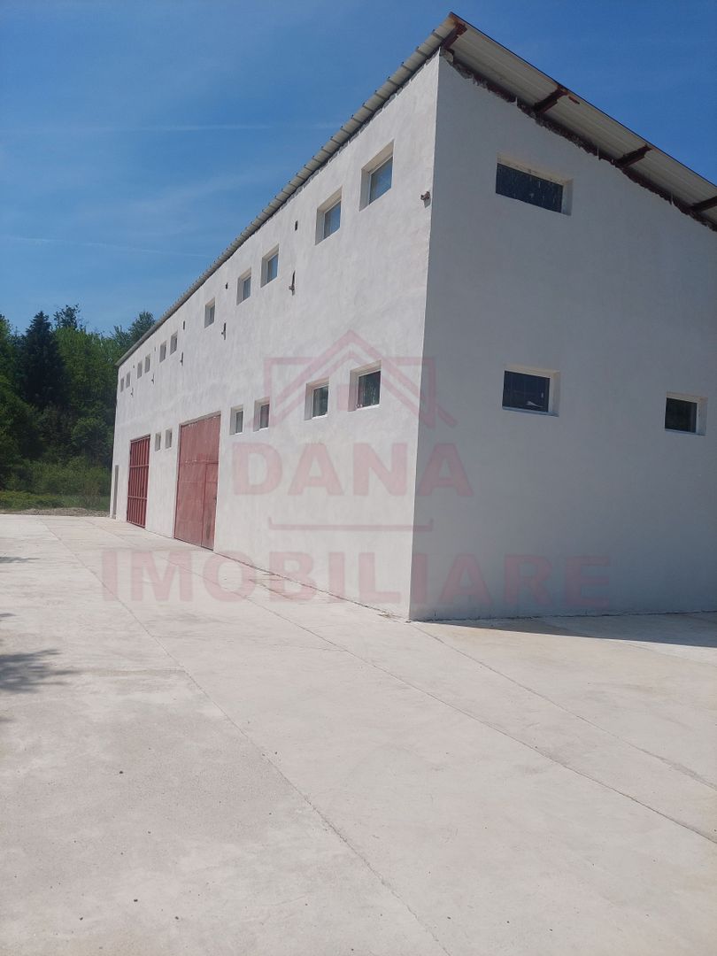 HALĂ DE VÂNZARE SAU ÎNCHIRIERE, ÎN  LOC.. BĂUȚAR, JUD. CARAȘ-SEVERIN - Poză 4