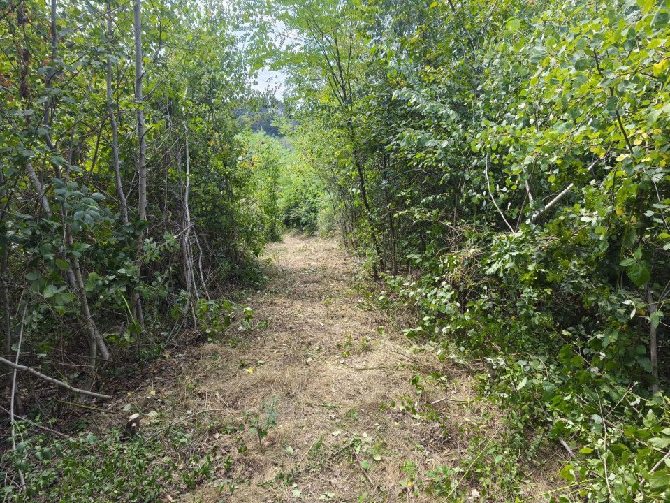 Teren 2552 mp, panorama superba Mosoaia Hintesti -Strada  Basangesti - Poză 4