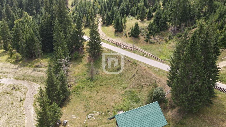 Teren Voronet 4700mp INTRAVILAN | Gura Humorului | Bucovina - Poză 5