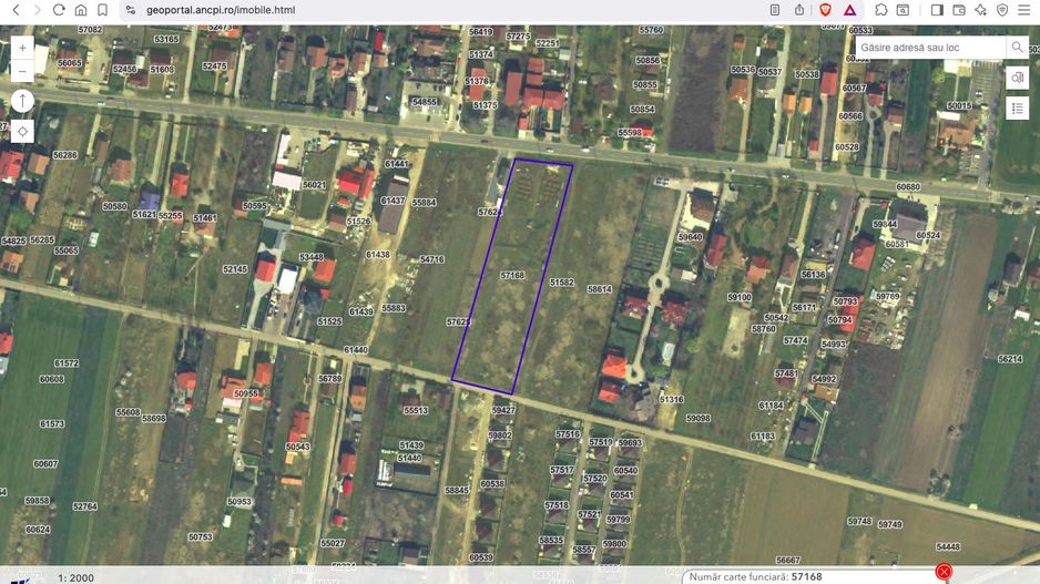 Teren intravilan construibil 7.500 mp Ciorogarla Ilfov - Poză 2