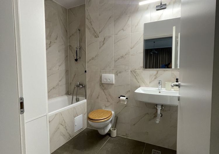 Apartament 2 camere zona Lipovei Timisoara-Mobilat si utilat - Poză 4