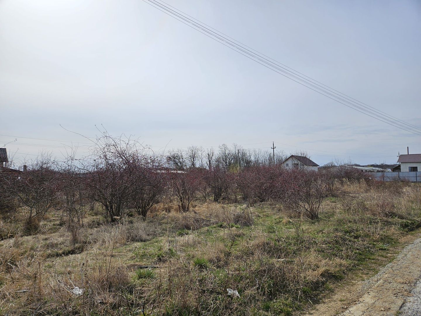 Teren intravilan 882 mp, Smeura - Hintesti - Poză 4