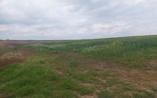 Teren 12,984mp Balotesti / Strada Albinelor - Poză 1