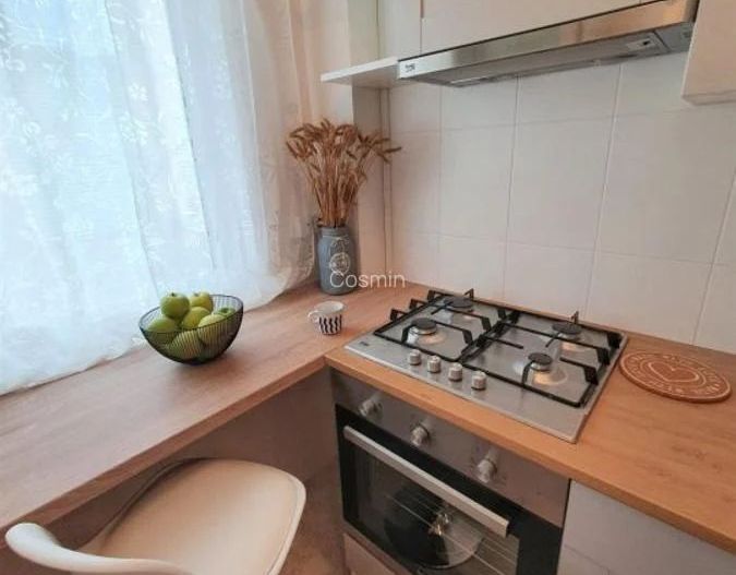 Garsoniera- Banu Manta, Kiseleff - Poză 11