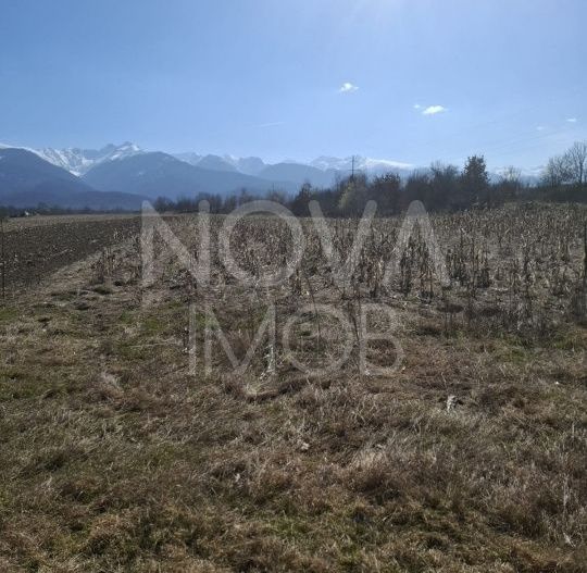 Teren extravilan de vanzare - Arpasul de Sus - Poză 4
