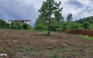Teren intravilan 1054 mp în zona Bucium, Iași – Complexul BeFly (fost Nativa Park) - Poză 2