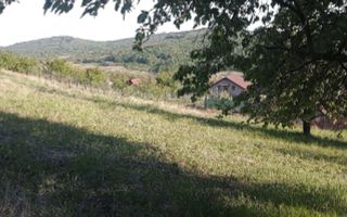 Teren intravilan de vânzare în Chicerea-Tomești, două parcele, utilități la limită - Poză 3