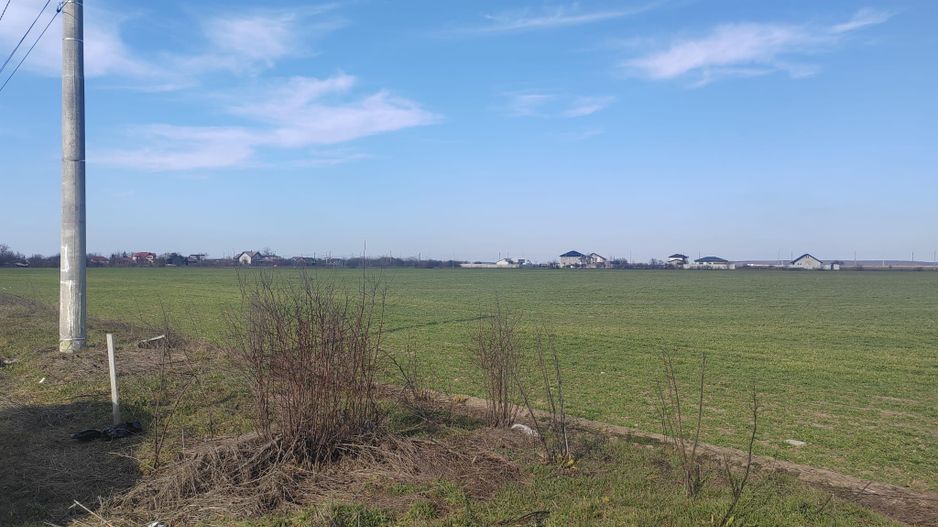 Cernica Tanganu super pret rezidential sau depozitare - Poză 4