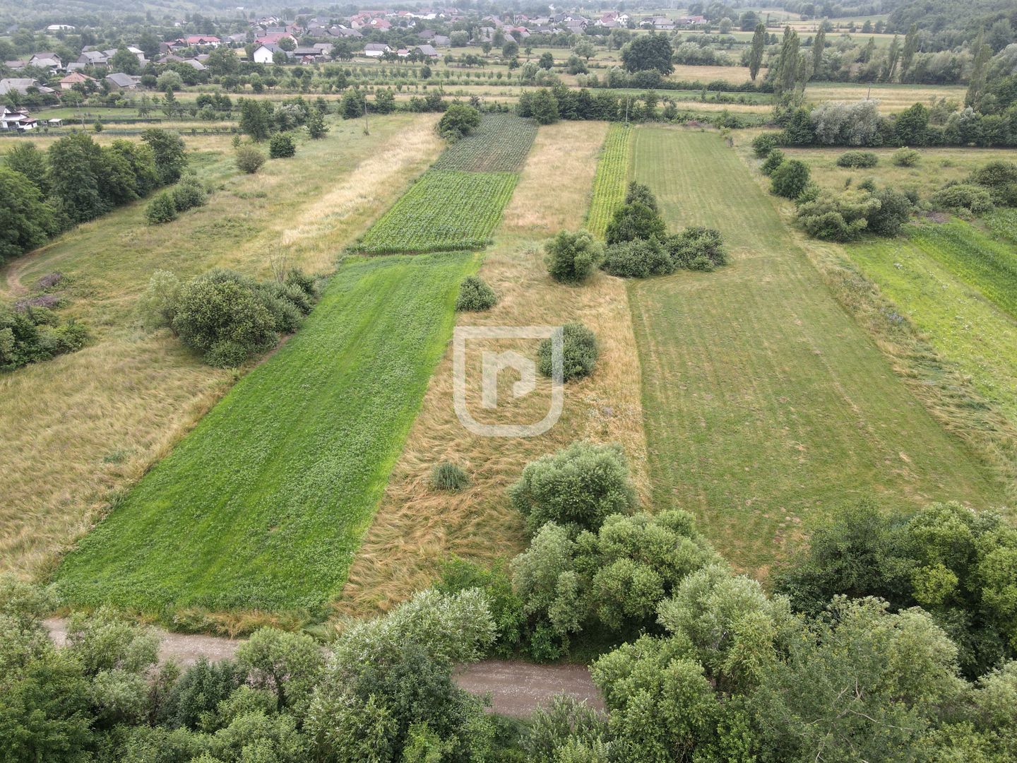 Teren Malini 3600mp | Suceava | Bucovina - Poză 1