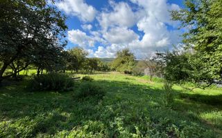 2 Case 109 mp-teren 3182 mp-anexe-Nimigea de Sus, 17 km de Nasaud - Poză 8