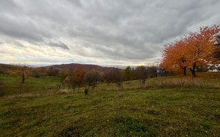 Teren Negreia - Poză 3