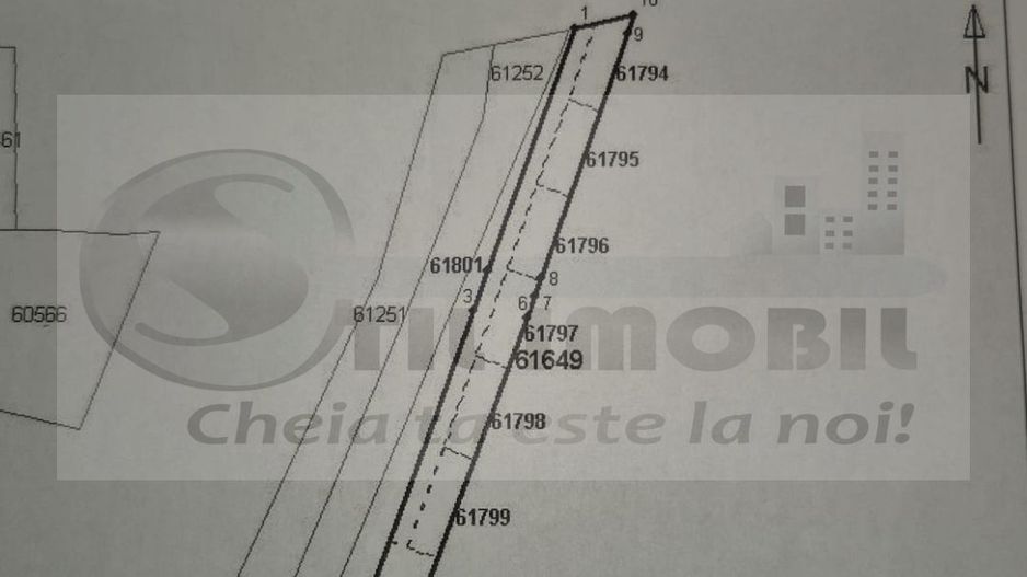 TEREN TOMESTI 35 EURO MP NEGOCIABIL - Poză 3