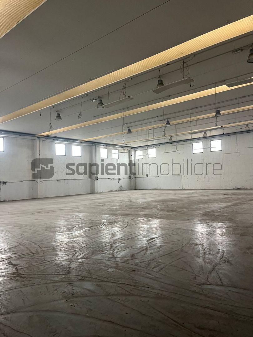 Sapient | Hală situata în com. Borș - Poză 8