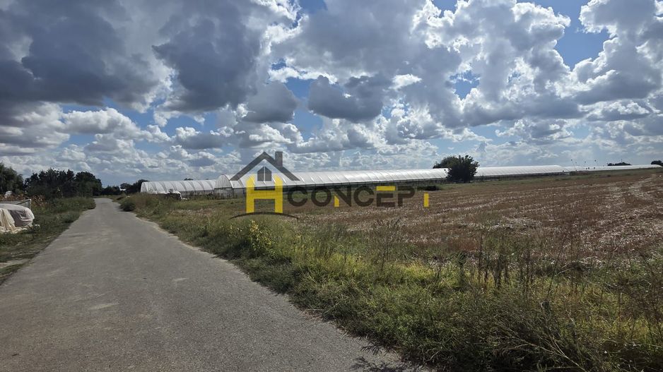 Teren 7500 mp Campurelu Colibasi strada asfaltata langa padure - Poză 4