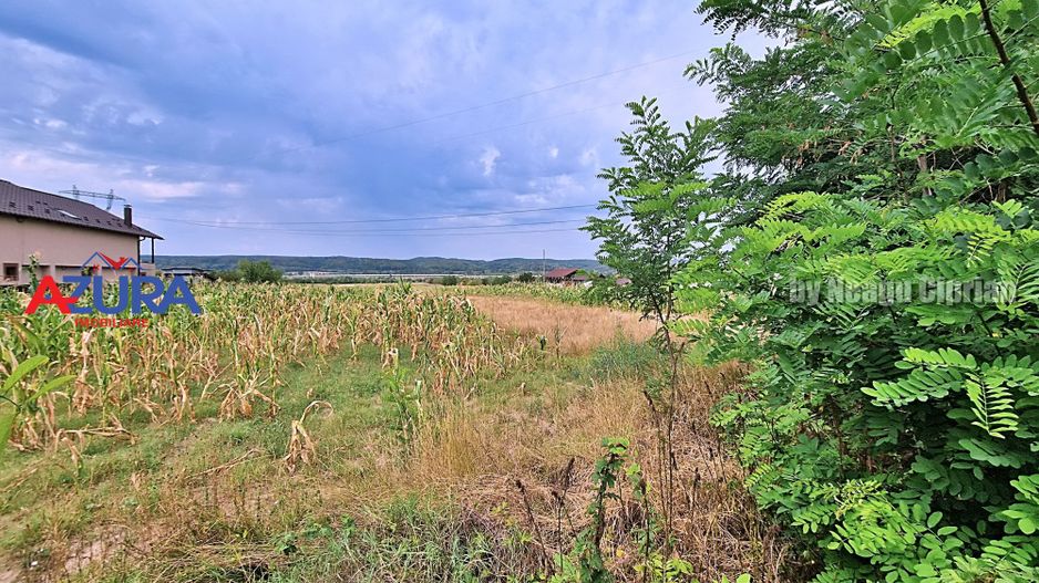 AZURA Imobiliare - Teren Budeasa Galasesti Calotesti - Poză 8
