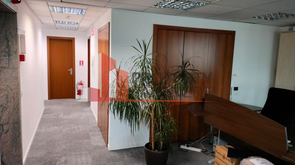 265mp, Barbu Vacarescu, langa One Verdi - Poză 5