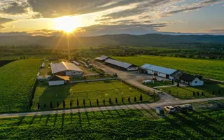 FILM!Domeniu de 222.000 mp + Ferma + Anexe specifice + Constructie rezidentiala+ - Poză 25