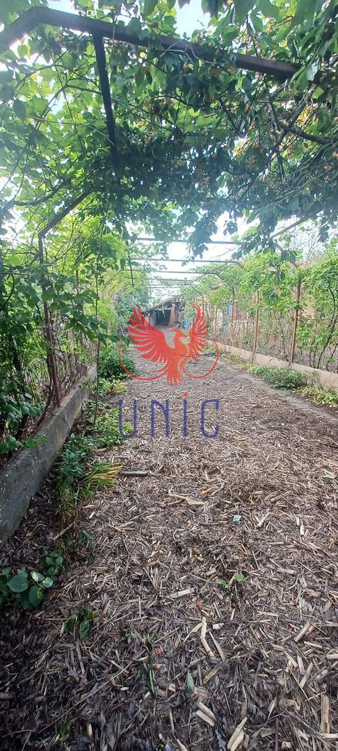 Casa cu teren de 1969 mp - Amarastii de Jos - Poză 8