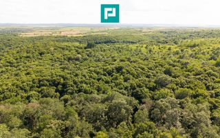 TEREN AGRICOL EXTRAVILAN  22.900 MP LIPOVA - Poză 5