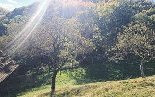 Casa renovata in Fantanele - Poză 17