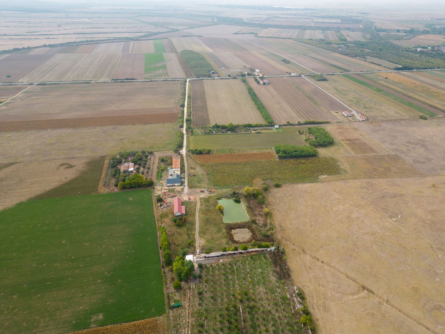 Teren intravilan cu iazuri și casă - Chișineu-Criș - Poză 15