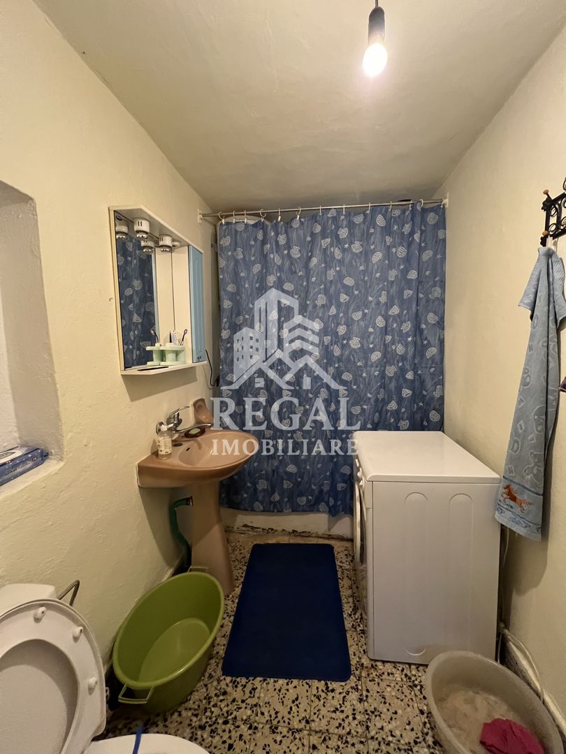 Două case individuale de vânzare în Teliuc –ideale pentru două familii - Poză 8