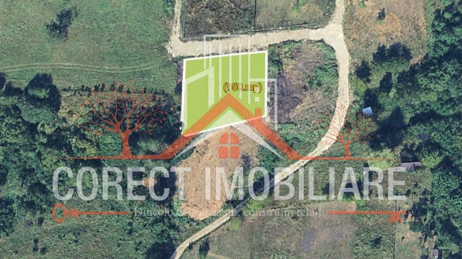 🌿 Teren de vânzare – Valea Budacului - Poză 4