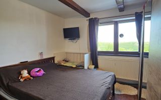 Casa Zona Doja langa Hanul Pescarilor 1500 mp teren - Poză 4