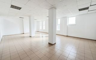 Hala industriala 4.300mp | Sagului | Timisoara | - Poză 4