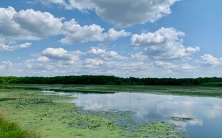 Teren Crevedia 45000 mp - Poză 10