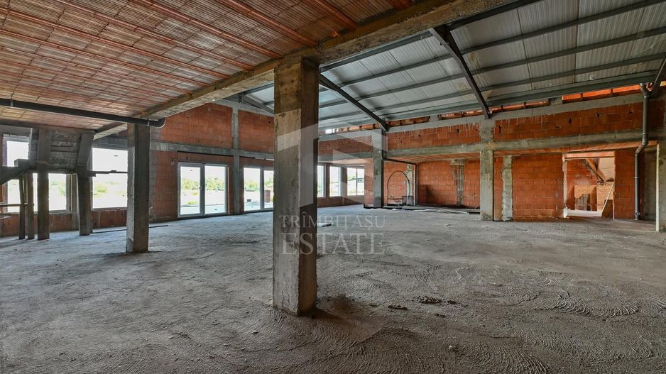 Sala de evenimente cu  piscina si foisor Biled COMISION 0 % CUMPARATOR - Poză 32