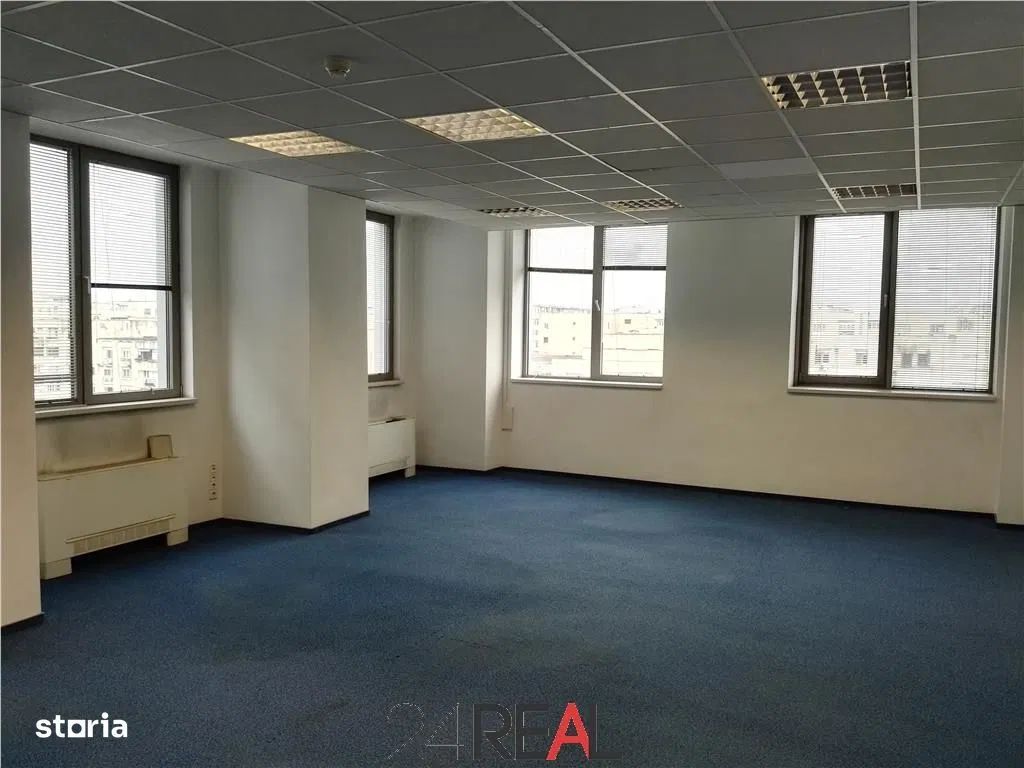 Spatii de inchiriat - Splaiul Unirii de la 299 MP - Poză 8