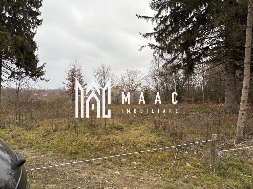 Teren intravilan | 2.000 mp |  Valea Avrigului - Poză 3