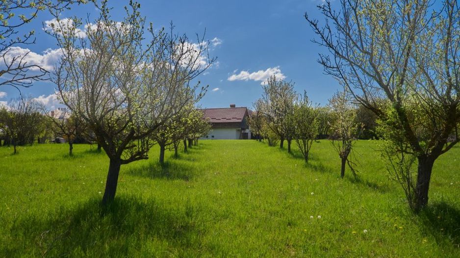 Casa Valea Mare Pravat (Campulung-Arges ) - farmec interbelic - Poză 2