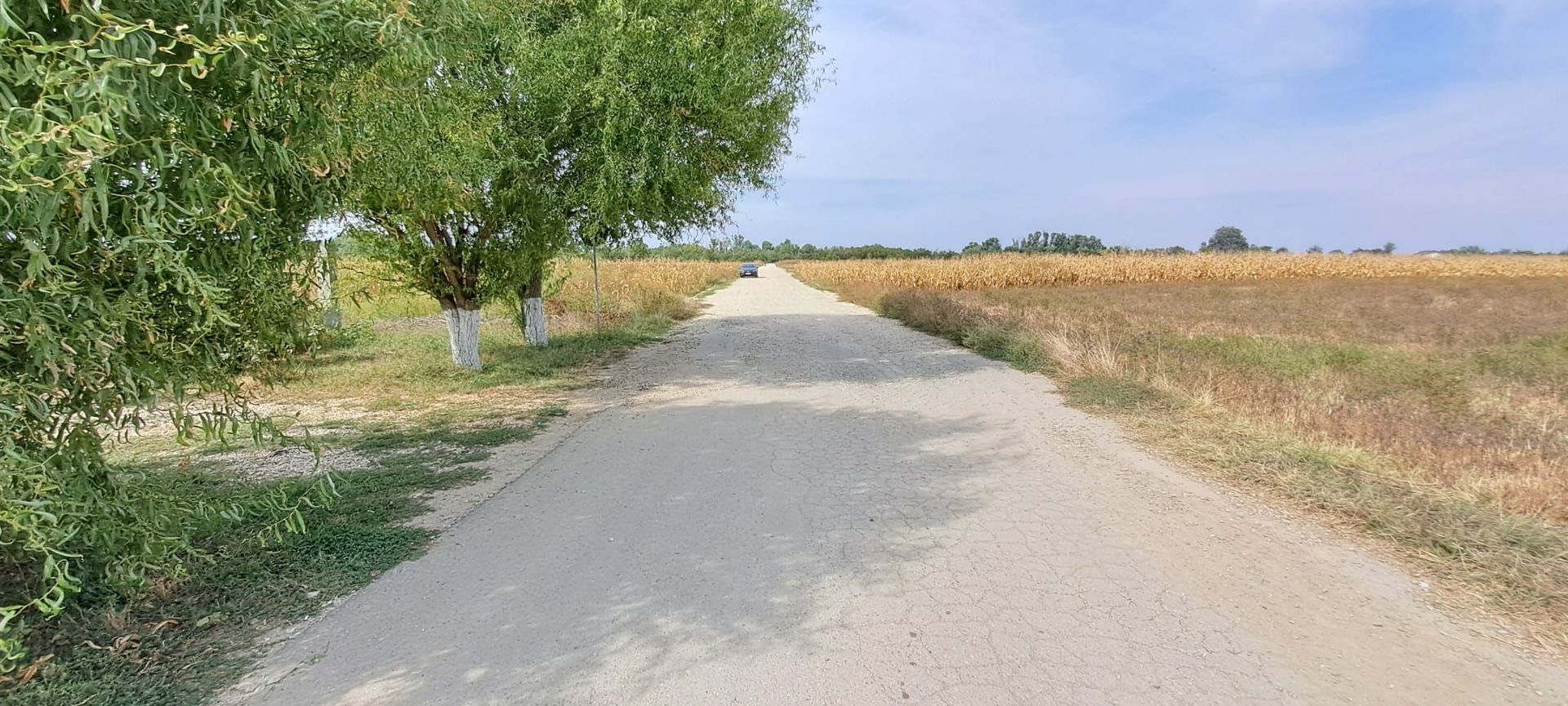 Palanca - Floresti - Stoenesti, Jud. Giurgiu, teren 4700 mp, utilitati - Poză 2