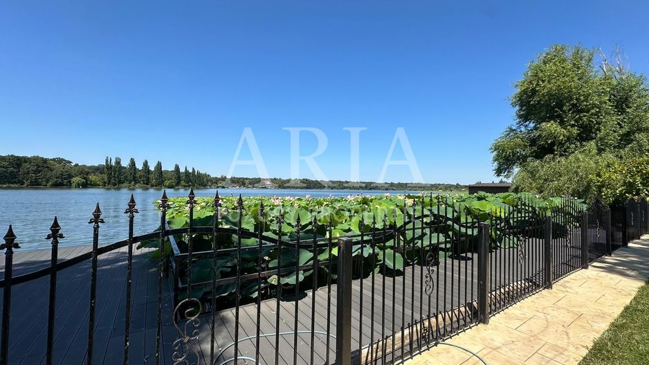 VILĂ INDIVIDUALA LAKEFRONT SNAGOV | POOL - Poză 1