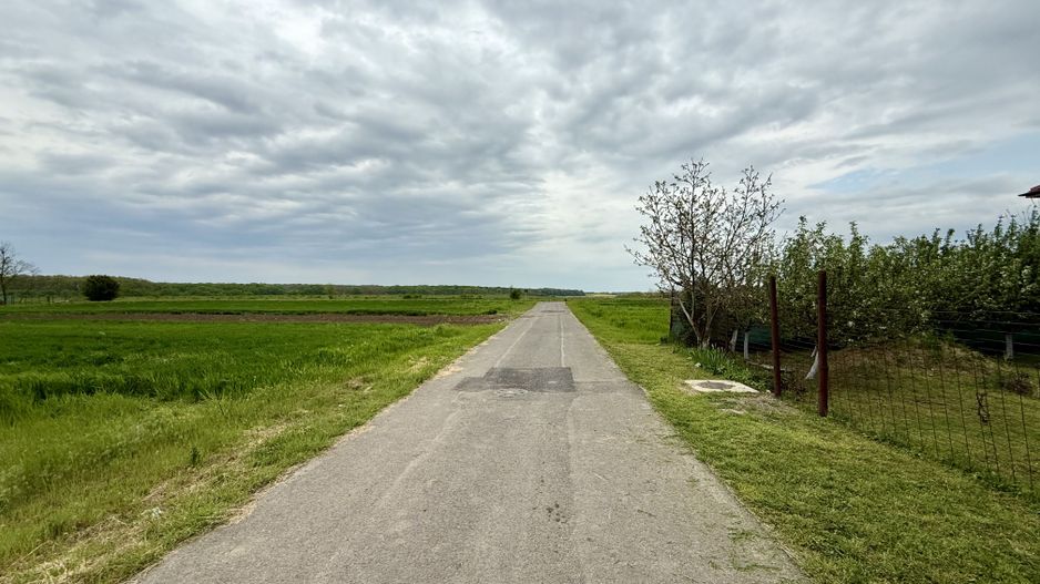 Teren intravilan de 1000 mp în Grădiștea, Ilfov – ideal pentru casa ta - Poză 5