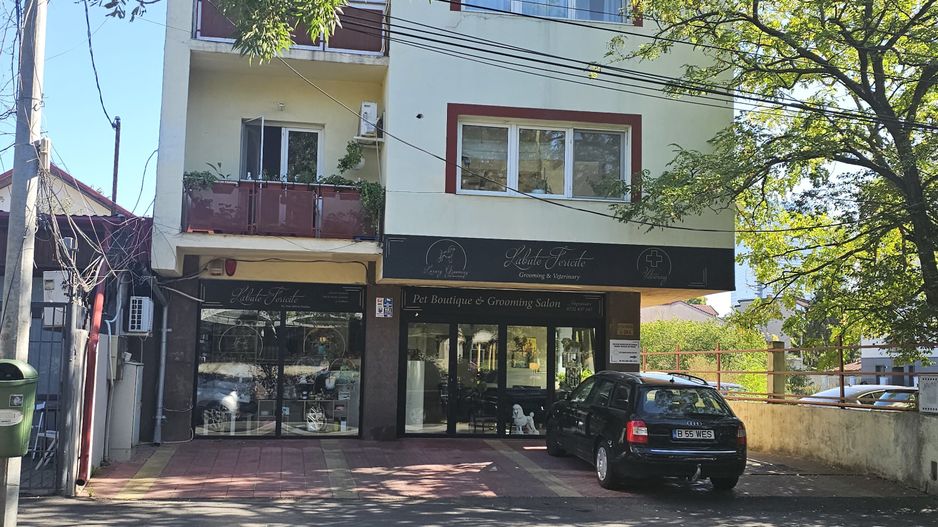 OCAZIE Spatiu Comercial Herastrau/Aviatiei - Poză 2