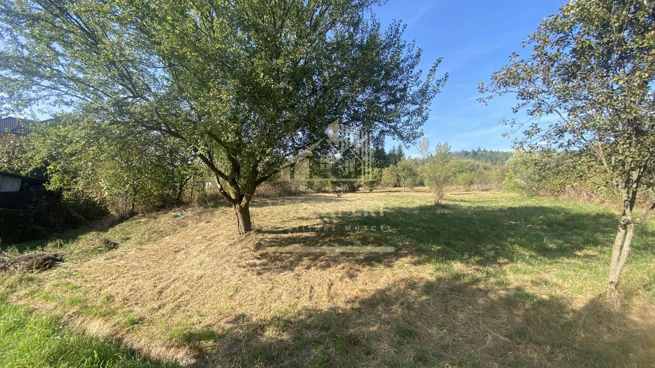 CASA DE VANZARE IN BUGHEA DE SUS CU 3000MP TEREN, PRET 55000 EURO - Poză 2