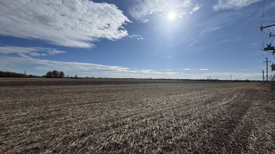 Vand Teren Extravilan Biled(zona industriala) 25.000mp,F.S la DN6 - Poză 2