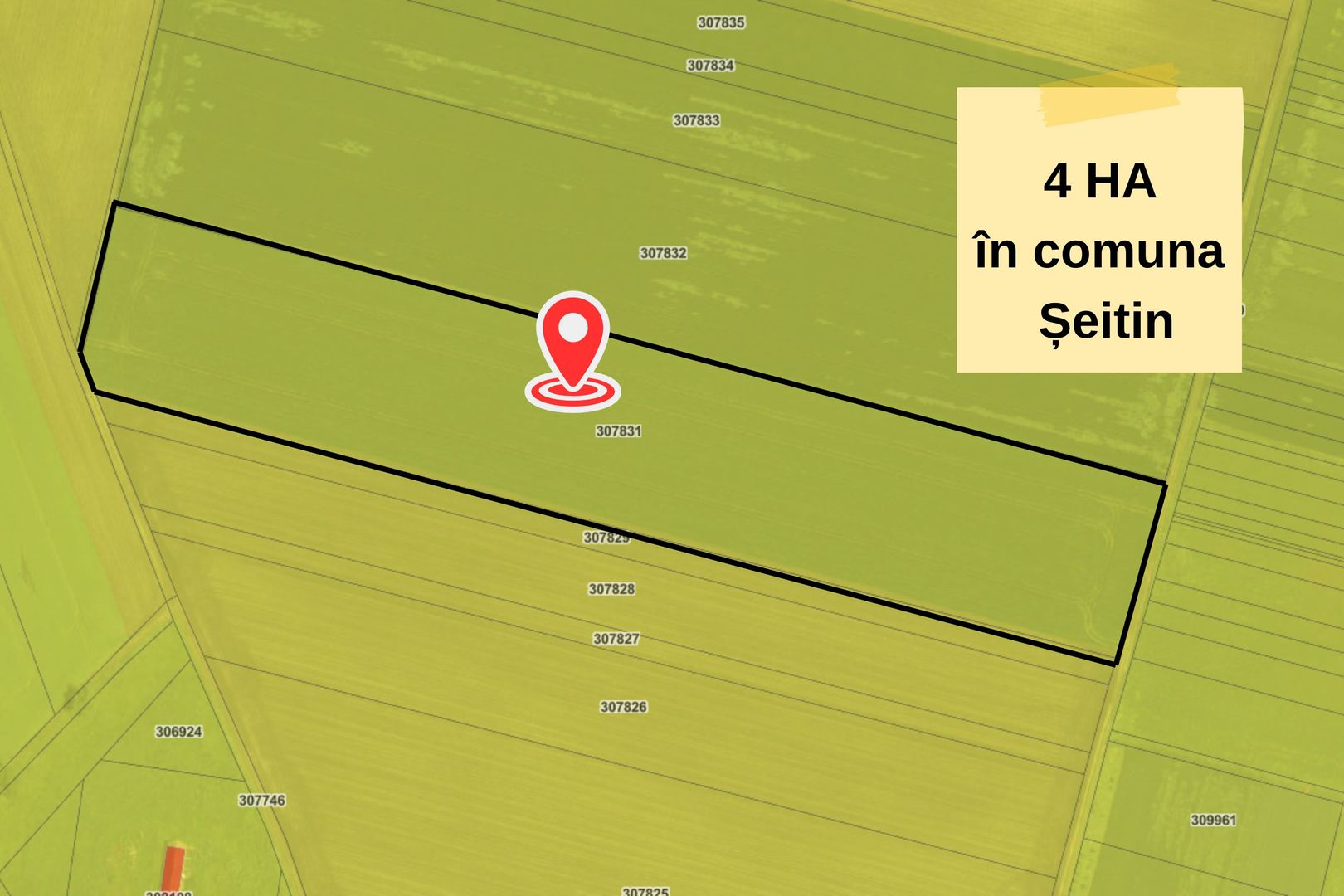 Teren extravilan in Seitin,  4 hectare de vanzare,  ZERO COMISION - Poză 2