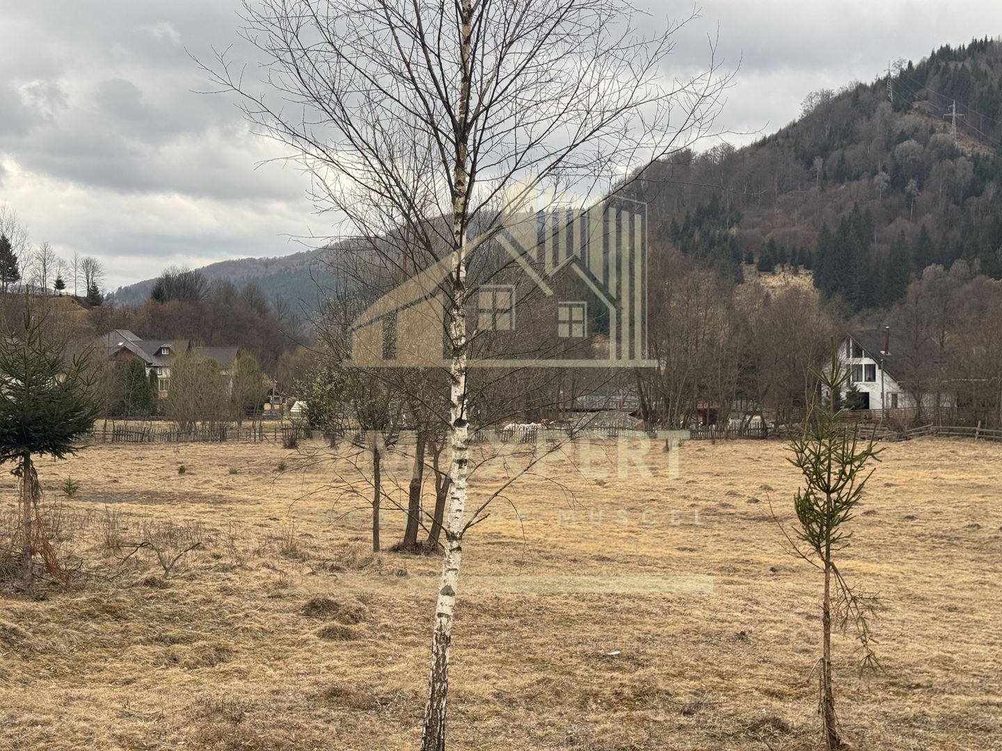 TEREN INTRAVILAN 500 MP SĂTIC- RUCĂR - Poză 8