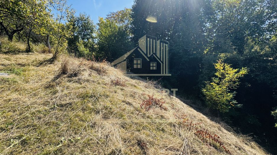 TEREN INTRAVILAN 3234 MP LEREȘTI VOINEȘTI ARGEȘ - Poză 18