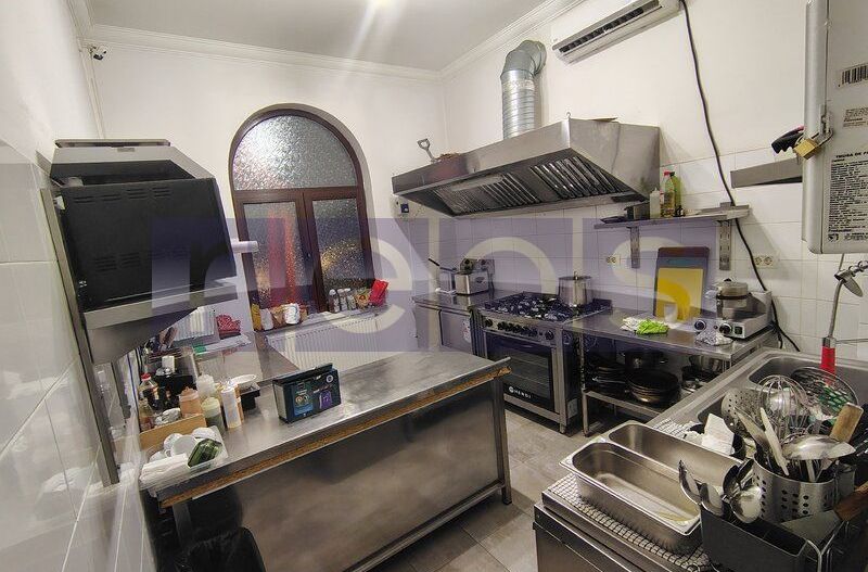 VILA EXCEPTIONALA PARCUL CAROL |  5 STUDIOURI | SPATIU HORECA FUNCTIONAL | - Poză 4