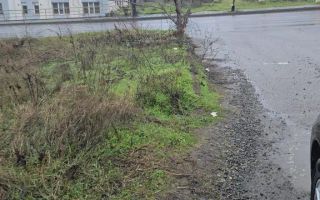 TEREN INTRAVILAN STR. ISACCEI - Poză 6
