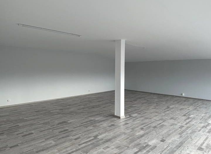 Hală de vânzare, 560 mp, zonă industrială Theodor Pallady, București - Poză 3