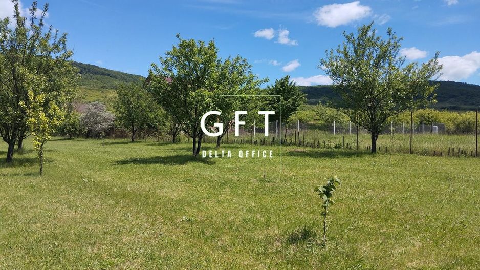 Teren intravilan 6000 mp-parcelabil-ideal constructie case-Crainimat - Poză 3