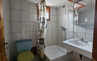 Casa Individuala | 8 camere | 6 bai | 300 mpu | Turnisor - Poză 35